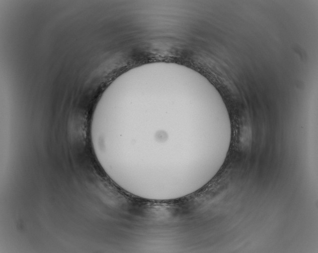 X0000111230710200907301246