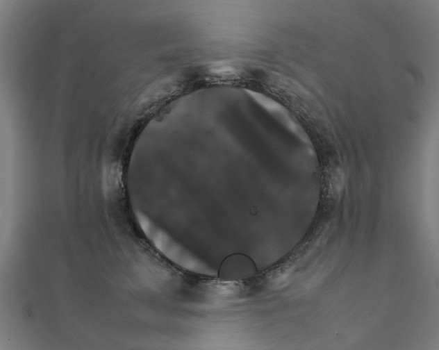 X0000111230711200907301246