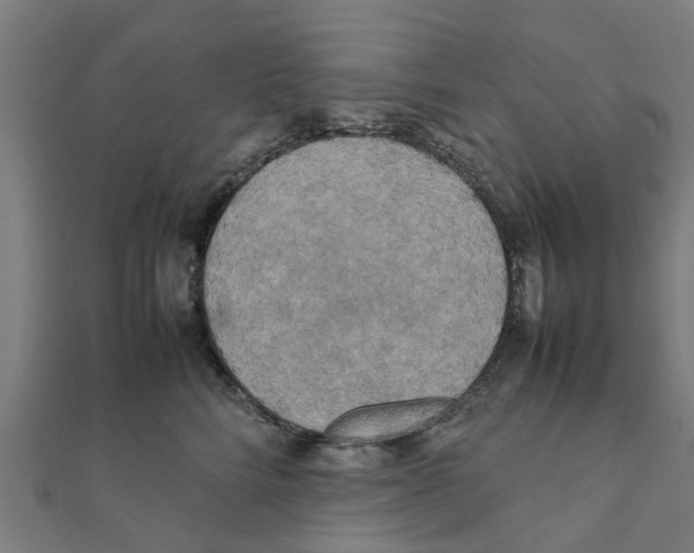 X0000111230712200907301246