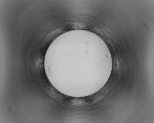 X0000111230714200907301246