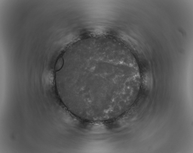 X0000111230715200907301246