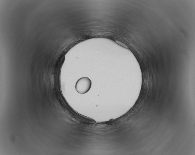 X0000111230716200907301246