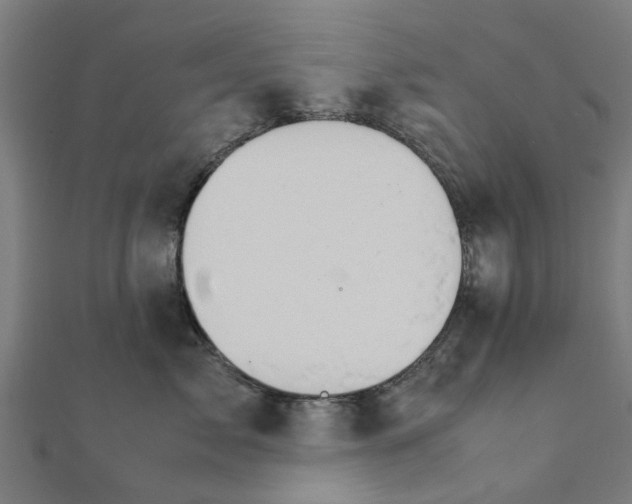 X0000111230717200907301246