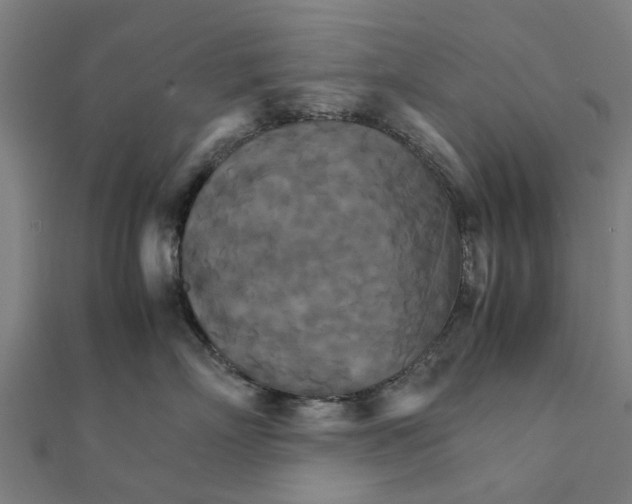 X0000111230718200907301246