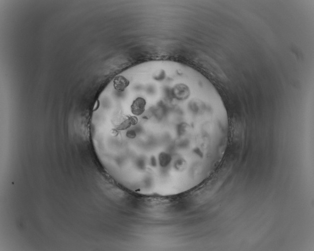 X0000111230719200907301246