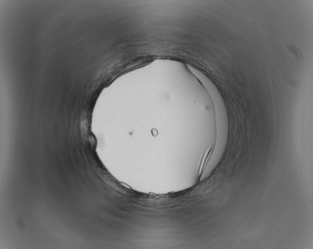 X0000111230720200907301246