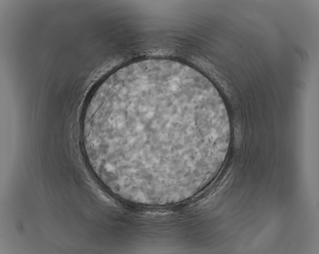 X0000111230721200907301245