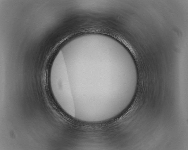 X0000111230722200907301245