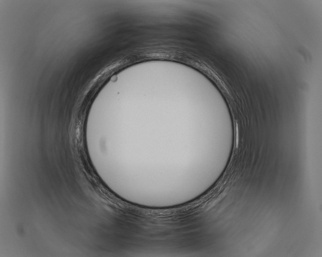 X0000111230723200907301245
