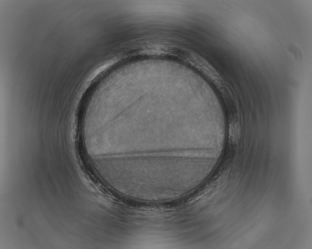 X0000111230724200907301245