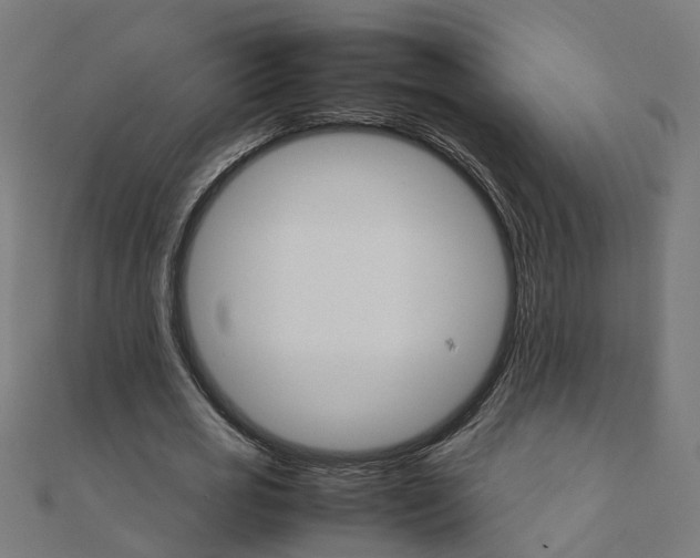 X0000111230725200907301245