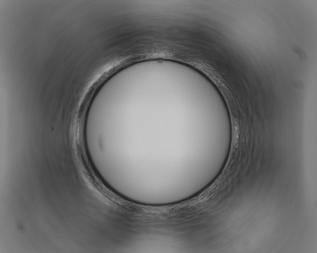 X0000111230726200907301245