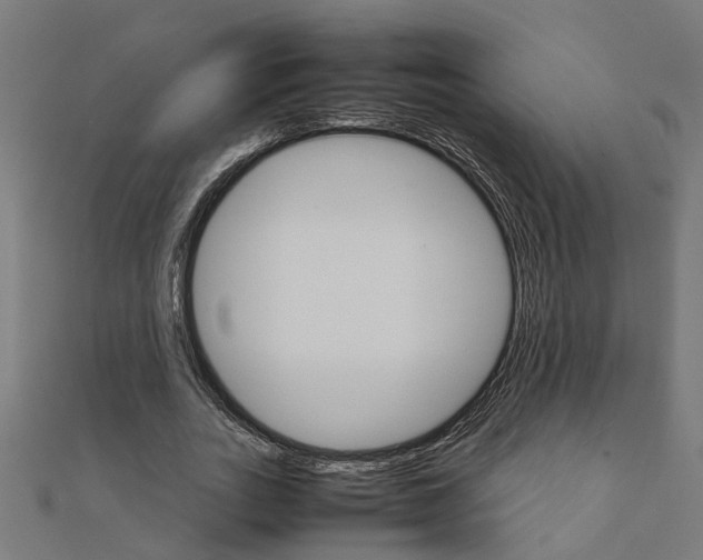 X0000111230727200907301245