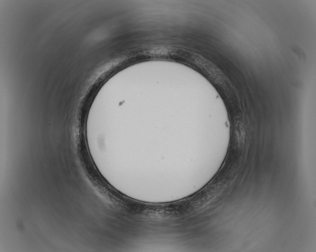 X0000111230728200907301245