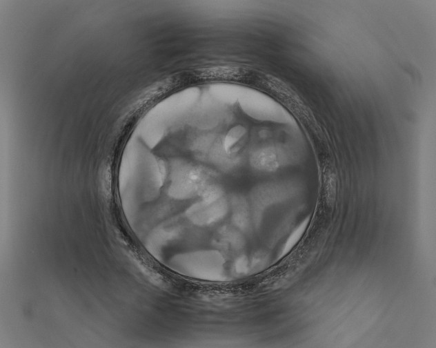 X0000111230729200907301245