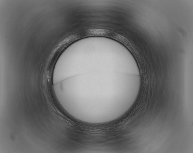 X0000111230731200907301245