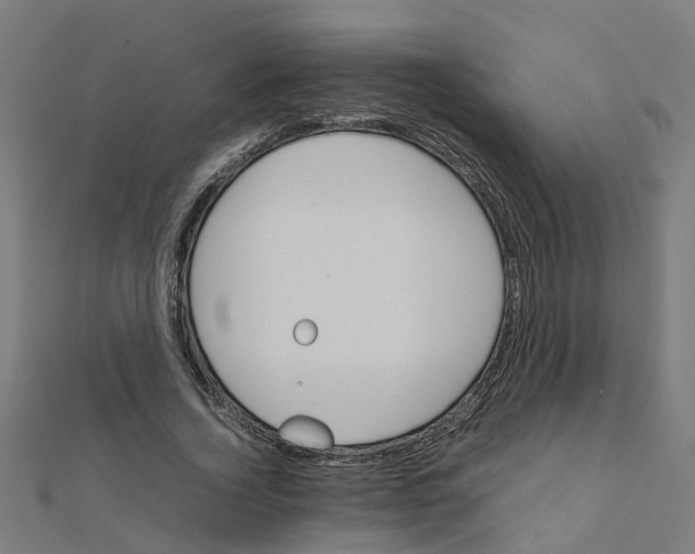 X0000111230732200907301245
