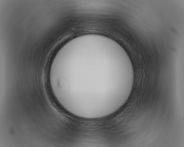 X0000111230734200907301245