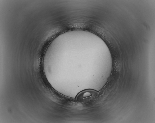 X0000111230735200907301245