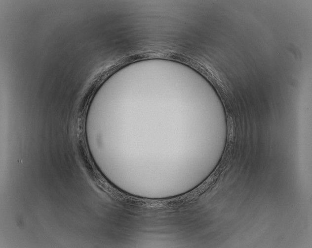 X0000111230736200907301245