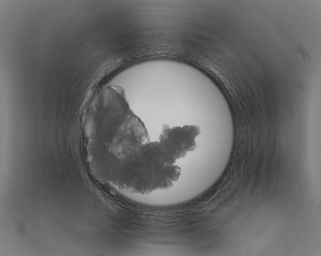X0000111230738200907301245