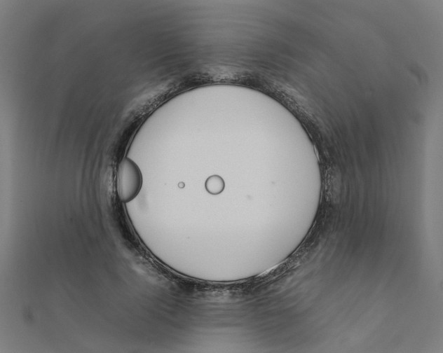 X0000111230740200907301245