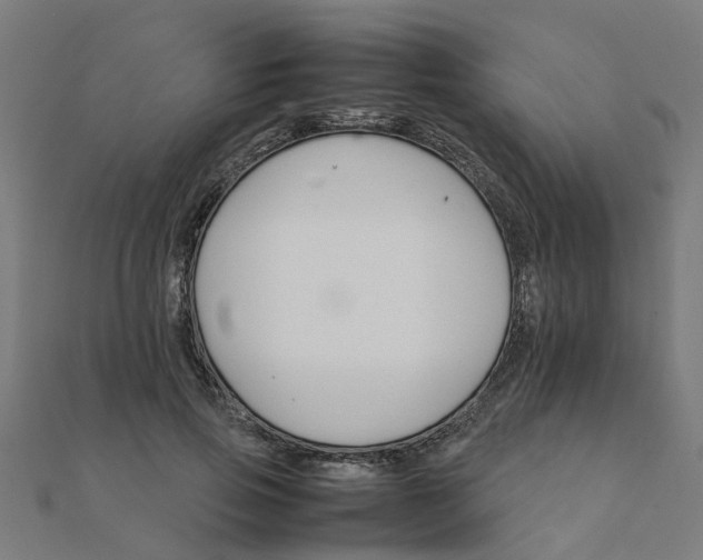 X0000111230741200907301245