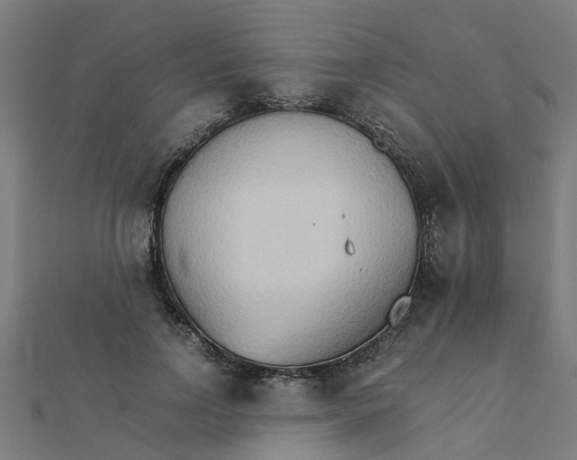 X0000111230742200907301245