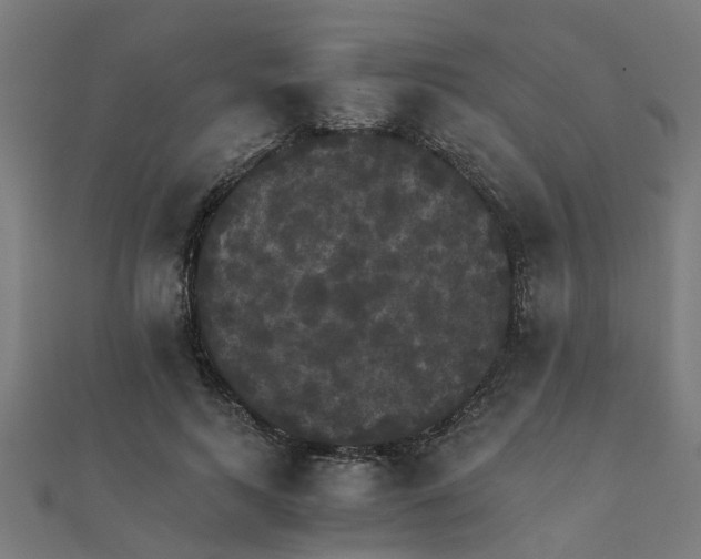 X0000111230743200907301245