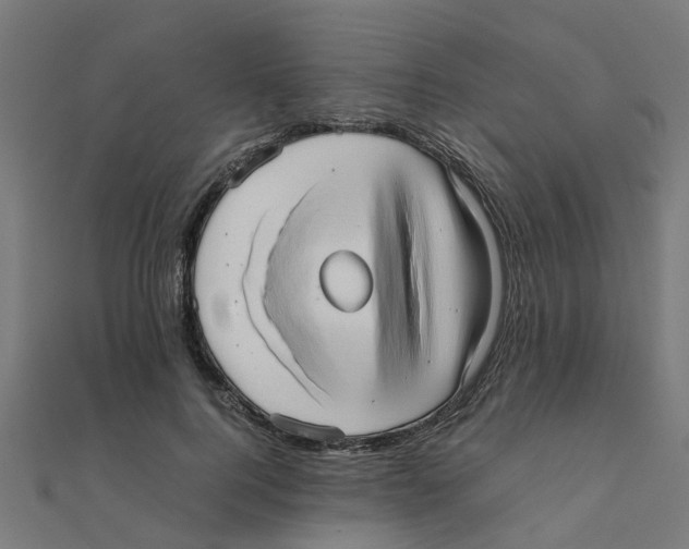 X0000111230744200907301245