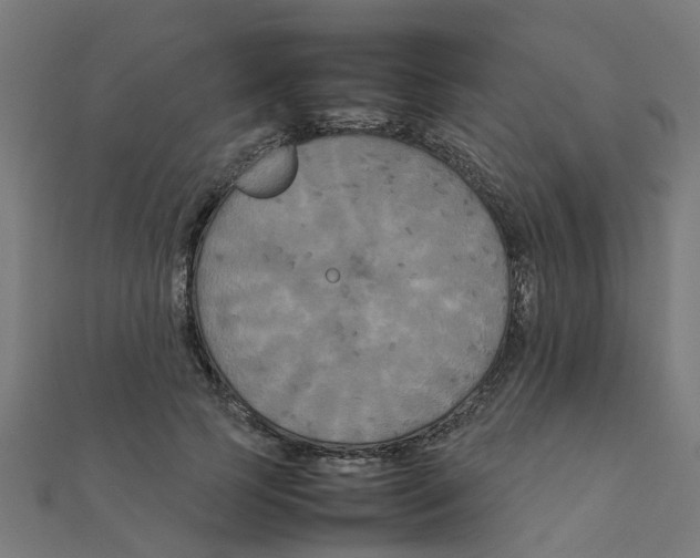 X0000111230745200907301245