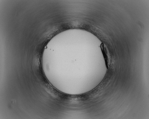 X0000111230746200907301245
