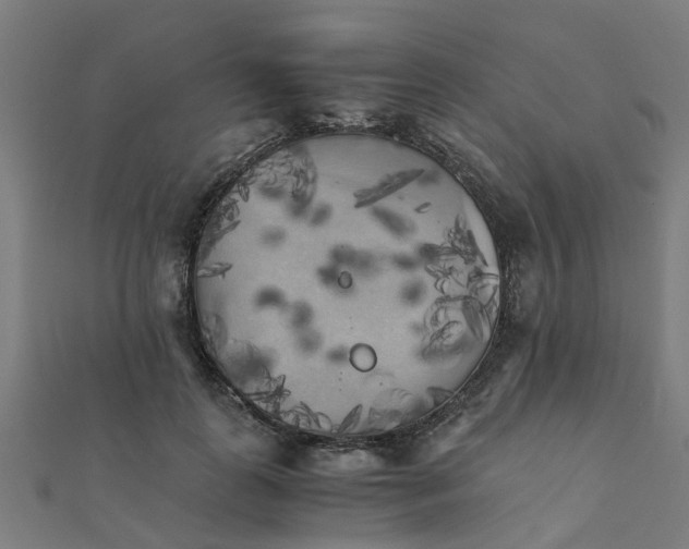 X0000111230747200907301245