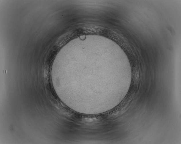 X0000111230749200907301245