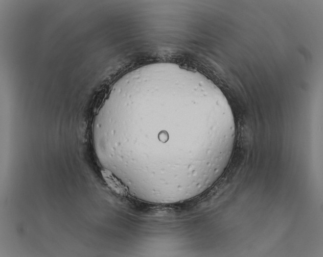 X0000111230750200907301245