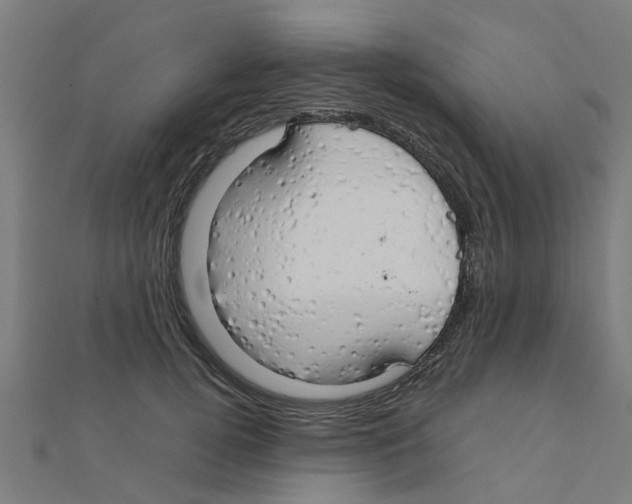 X0000111230752200907301246