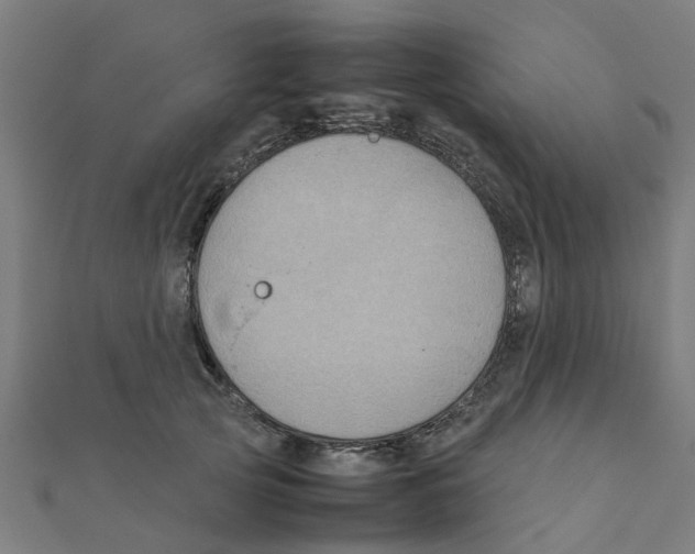 X0000111230753200907301246