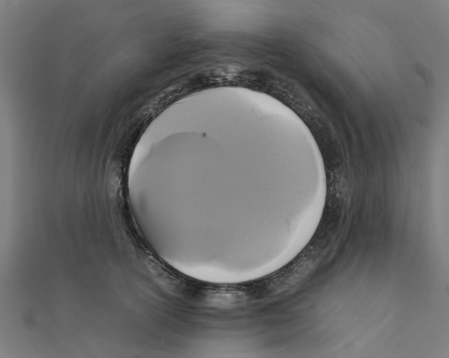 X0000111230754200907301246