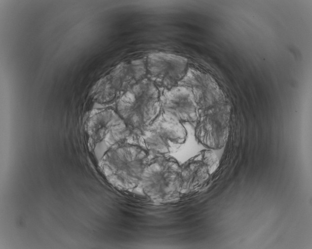 X0000111230757200907301246