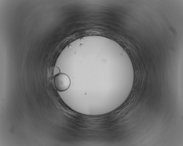 X0000111230759200907301246