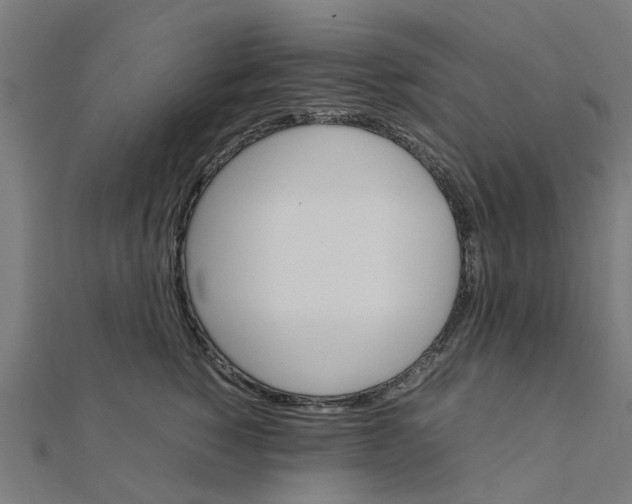X0000111230760200907301246
