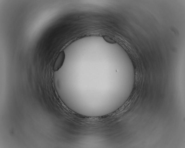 X0000111230762200907301246