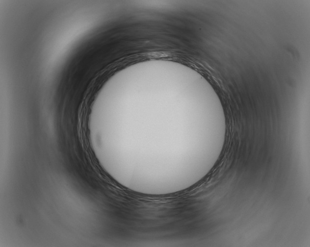 X0000111230763200907301246