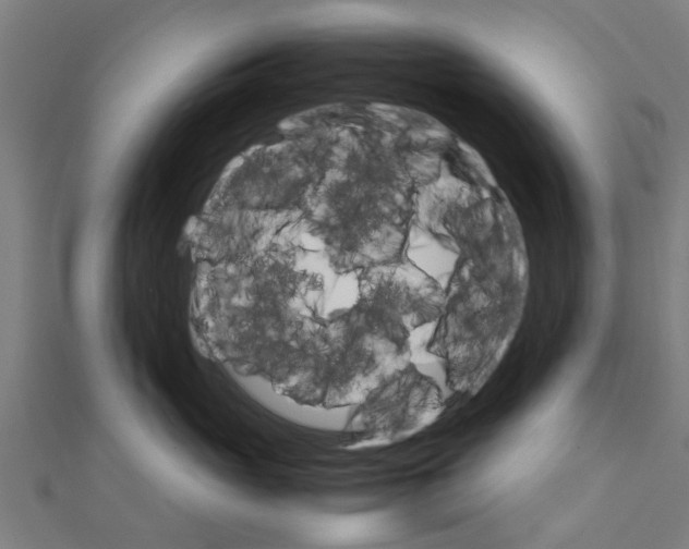 X0000111230765200907301246
