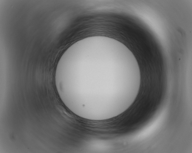 X0000111230766200907301246