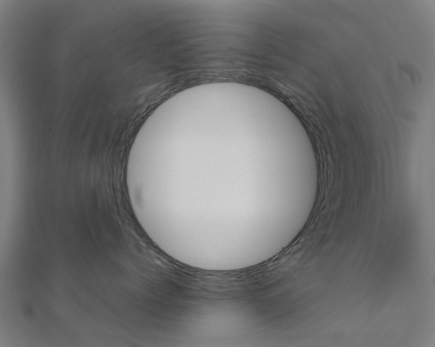 X0000111230768200907301246
