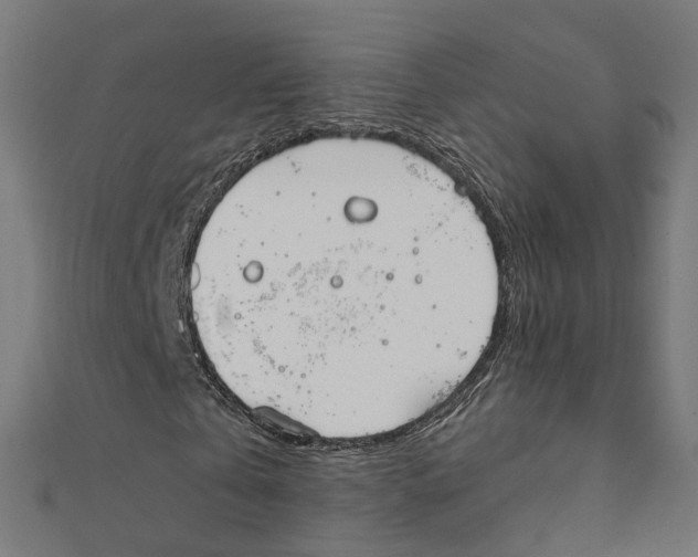 X0000111230769200907301245