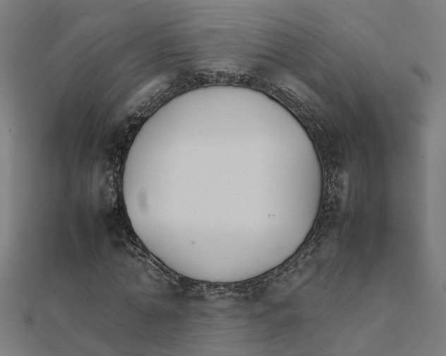 X0000111230774200907301245