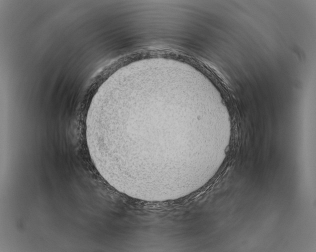X0000111230776200907301245