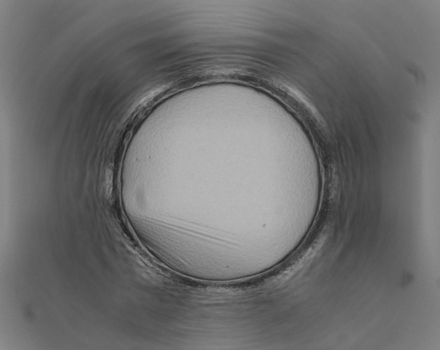 X0000111230777200907301245